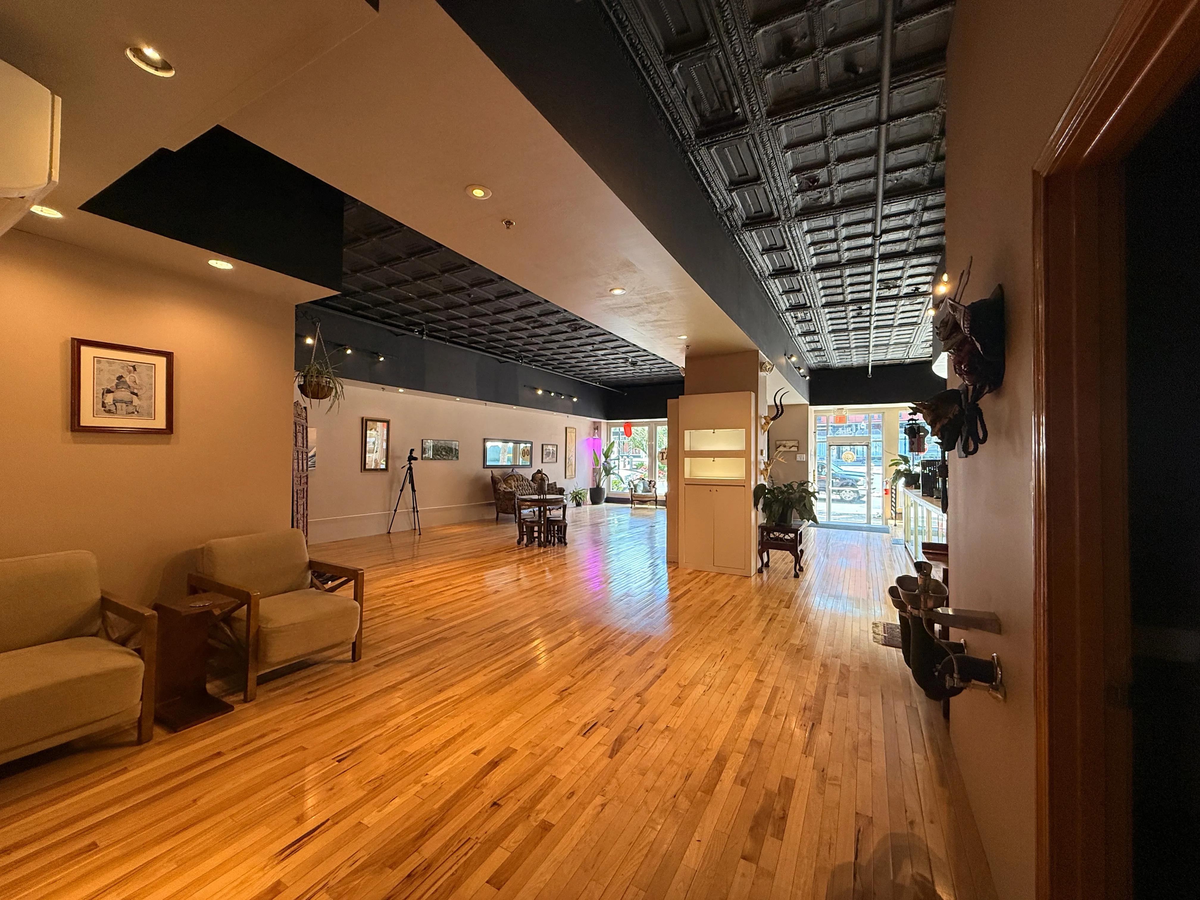 Bright gallery and consultation area inside the studio